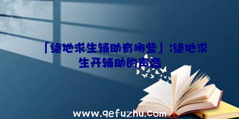 「绝地求生辅助有哪些」|绝地求生开辅助的声音